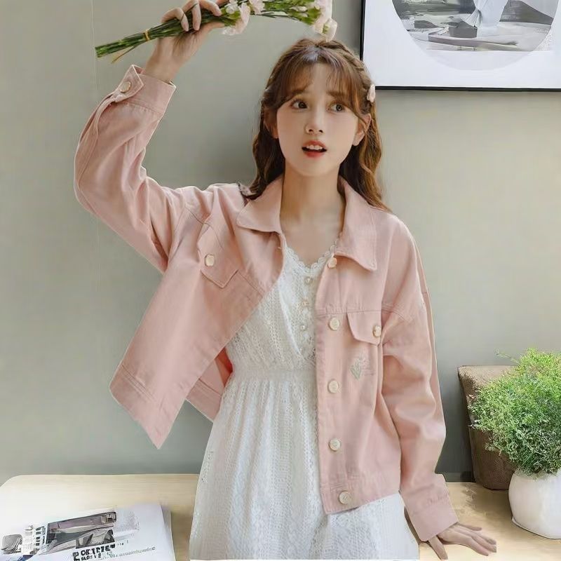 Новинка 2026 года: женские шор – обзор и цена Embroidery Jacket Jeans